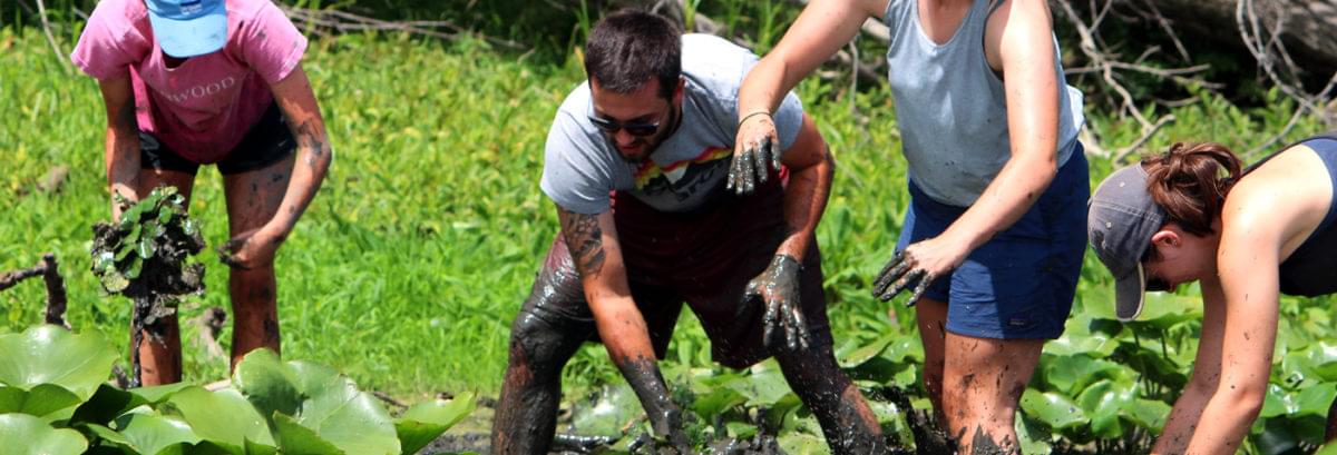 Dive In Lake Champlain Basin Program