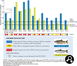 AIS in the Lake - Lake Champlain Basin Program